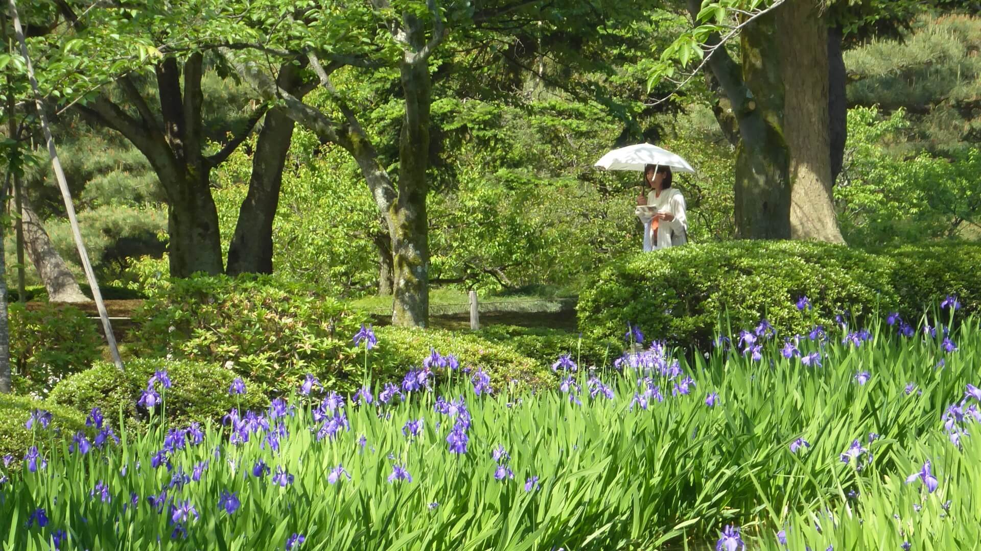 Midori no Hi: A Day to Celebrate Nature and Greenery in Japan