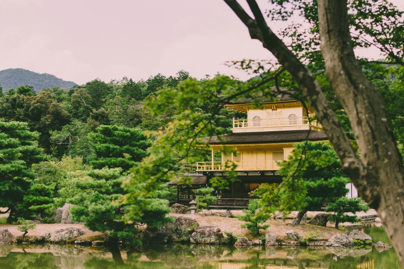 Midori no Hi: A Day to Celebrate Nature and Greenery in Japan