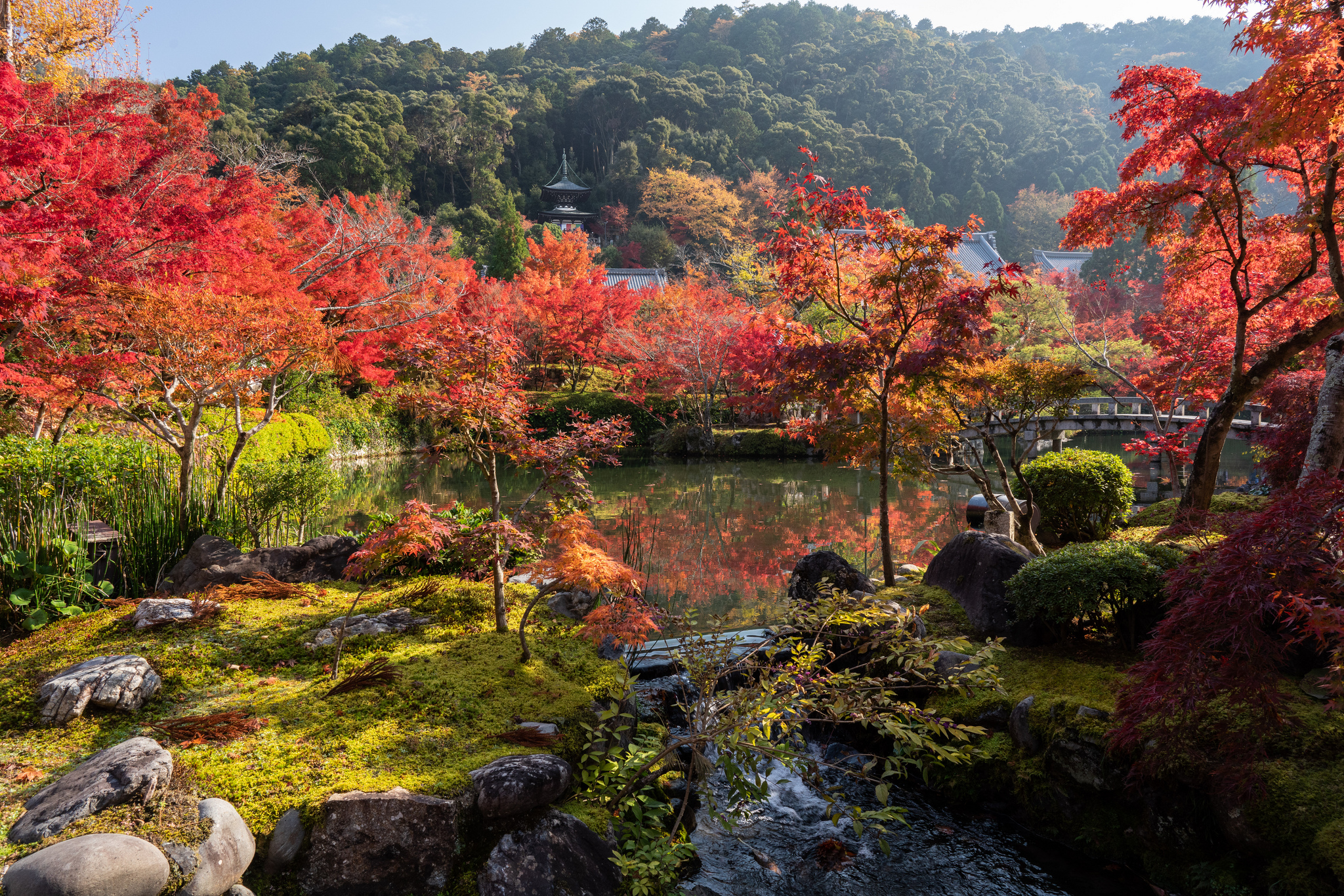 Review KOKO HOTEL Kyoto Sanjo: A Modern Sanctuary in the Heart of Kyoto