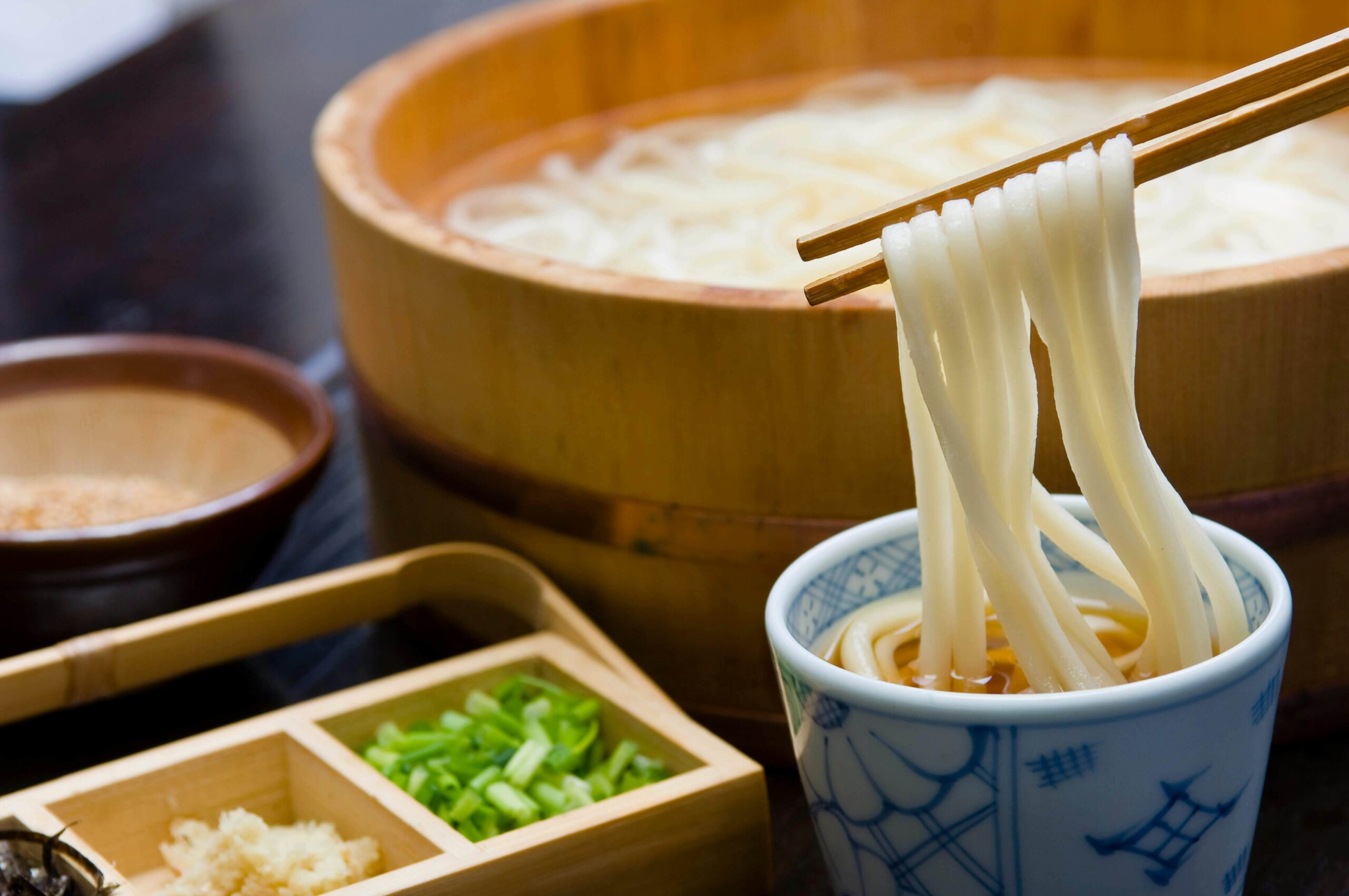 Udon: Japan’s Comfort Food and Culinary Treasure